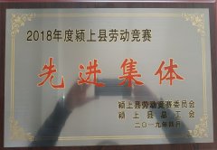 绿地食品荣获2018年度颍上县劳动竞赛先进集体